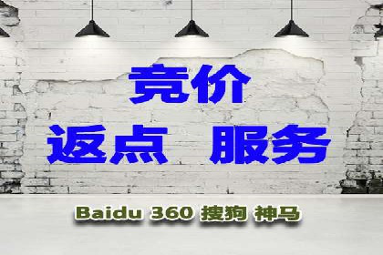 成功SEM推广竞价案例分享