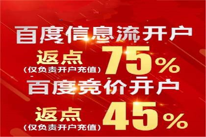 解析SEM竞价代运营的成功要素及案例